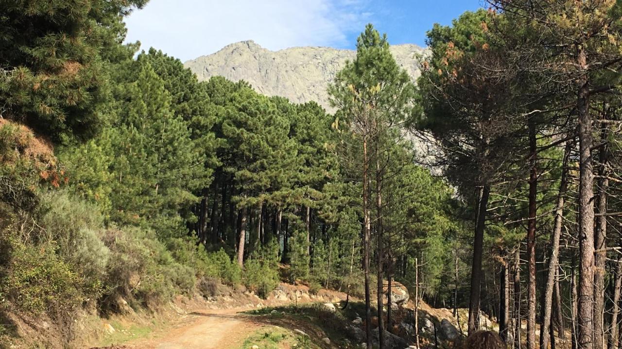 La Calleja Villarejo del Valle Екстериор снимка